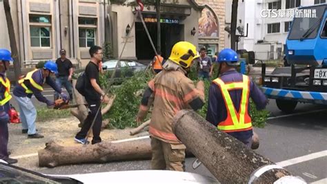 強風發威！ 台南路樹砸騎士屏東鷹架倒 華視新聞網