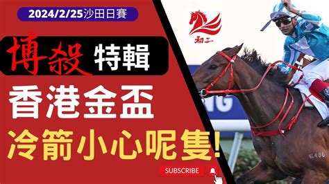 賽馬貼士 沙田賽事2024年2月25日香港金盃冷箭小心呢隻 Youtube