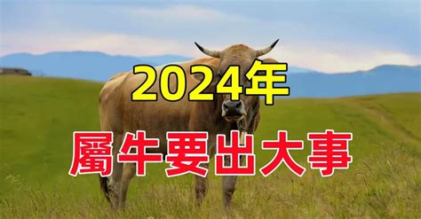 【十二生肖】2024年屬牛要出大事，千萬要注意！