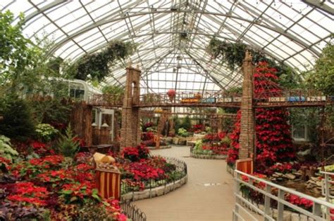 Krohn Conservatory | DATTravel