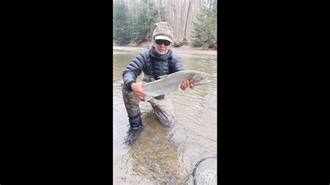 Lake Erie Steelhead March Youtube