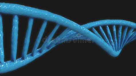 Dna Doppia Elica E Analisi Del Codice Genetico Cromosoma E Studio