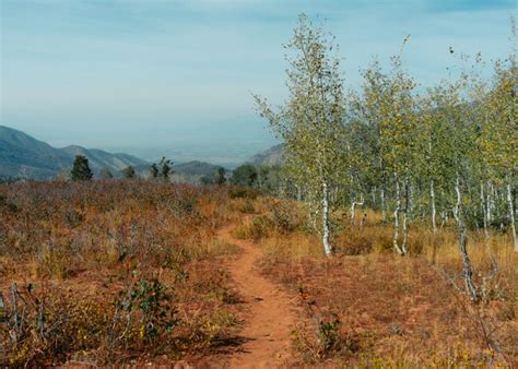 Guide To Driving Nebo Loop Scenic Byway In Utah