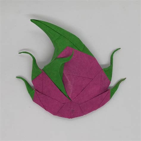 Origami Dragon Fruit Obsession