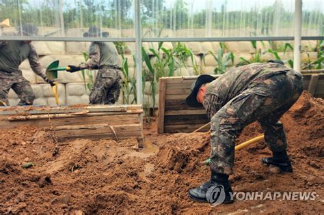 육군 31사단 수해복구 지원 연합뉴스