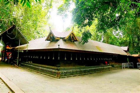 The Sacred Groves of Kerala - Sarpa Kavu - Blog Kerala