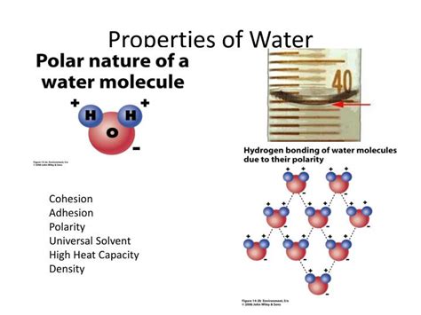 Ppt Properties Of Water Powerpoint Presentation Free Download Id2054956