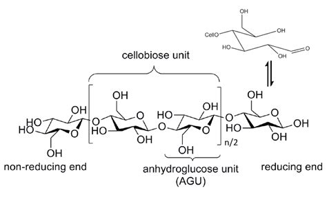 Representation Of The Two Possible Cellulose Monomers Cellobiose