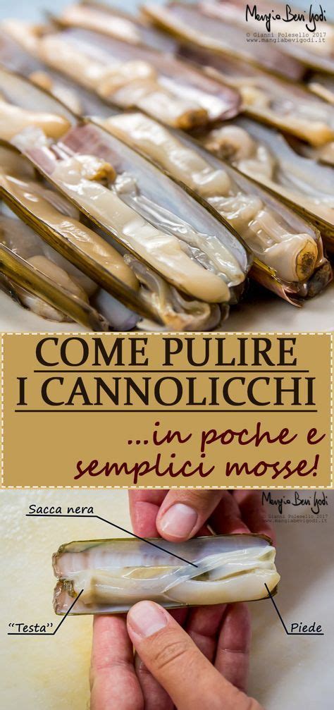 Cannolicchi Cosa Sono Come Pulirli E Come Prepararli Mangia Bevi