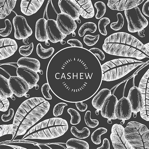 Premium Vector Hand Drawn Sketch Cashew Design Template Organic Food