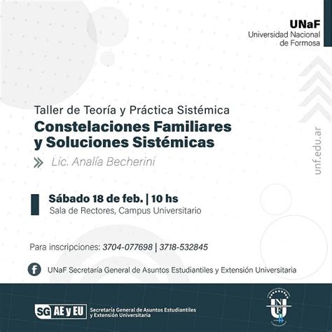 Se Desarrollar Taller Constelaciones Familiares Y Soluciones Sist Micas