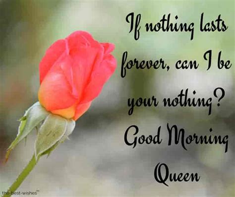 Good Morning My Queen Images Best Collection