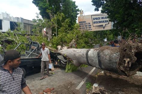 Bpbd Mataram Waspada Anomali Cuaca Pada Transisi Musim Hujan Panas