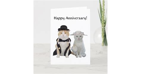 Customizable Funny,Pretty Cats/Kitties Anniversary Card | Zazzle