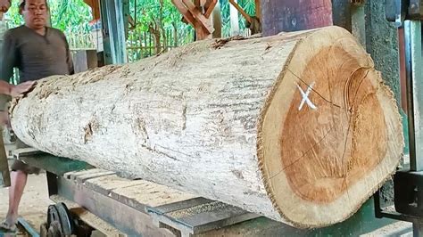 Sawing Old Teak Logs Into Beautiful Fiber Filled Planks At The Sawmill