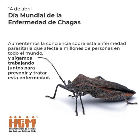 Día Mundial De La Enfermedad De Chagas