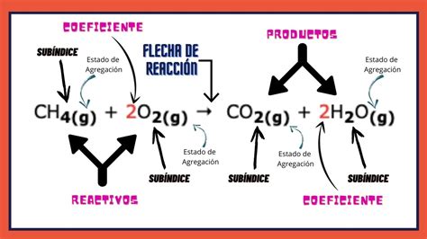 Cuáles son las relaciones entre reactivos y productos