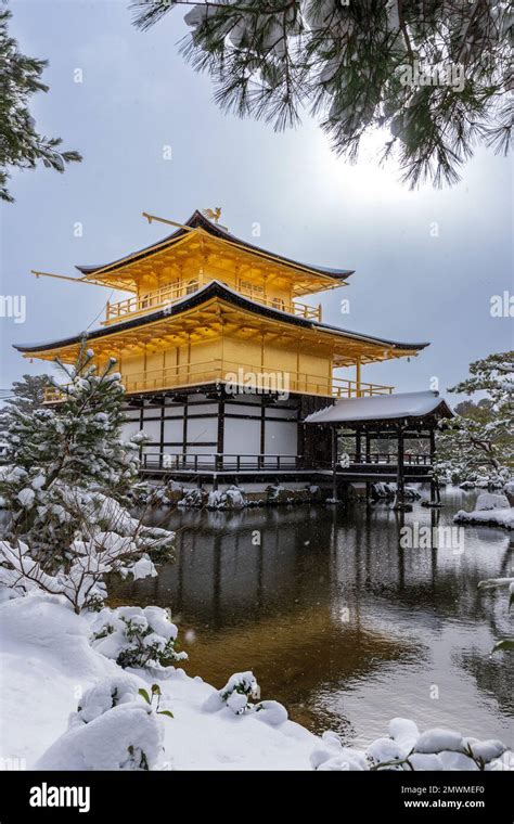 Snowy Kinkaku-ji Temple in winter. Famous tourist attraction in Kyoto, Japan. The Golden ...