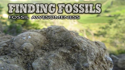 Finding Fossils Fossil Awesomeness Youtube