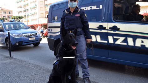 Studenti Denunciati A Chiavari Perch Trovati Con Hashish