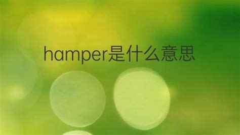 Hamper是什么意思 Hamper的翻译、读音、例句、中文解释 下午有课