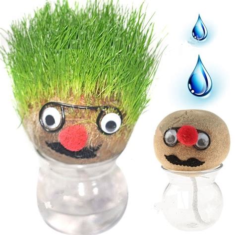 Buy Magic Funny Growing Grass Head Doll Toy Indoor Plant Decoration Online