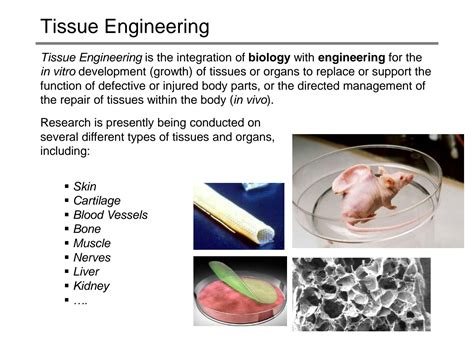 Solution Tissue Engineering Introduction To Bme 15 Studypool