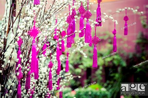 Decorations hanging from plants, Stock Photo, Picture And Royalty Free Image. Pic. BIM-BLD133073 ...