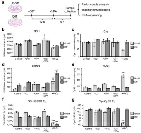 P19 Cells ATCC Bioz