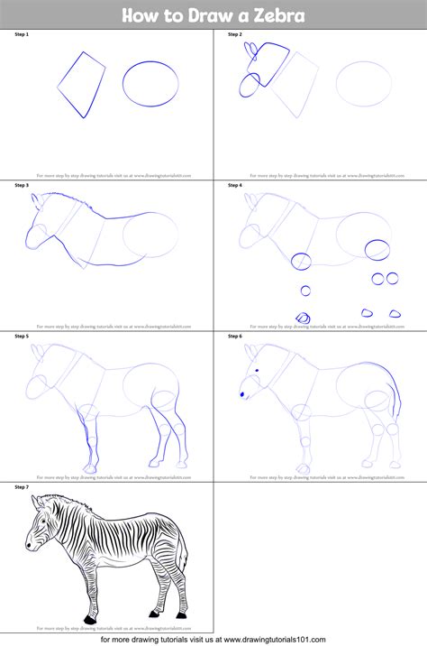 How to Draw a Zebra printable step by step drawing sheet ...