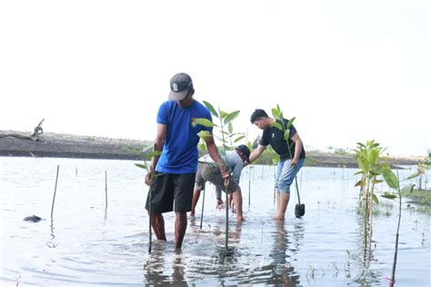 Targetkan Satu Juta Tanaman Mangrove Perbaiki Iklim Jajaran Polisi