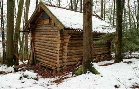 How To Build Your Own Survival Log Cabin In Five Steps Nexus Newsfeed