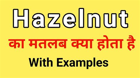 Hazelnut Meaning In Hindi Hazelnut Ka Matlab Kya Hota Hai Word