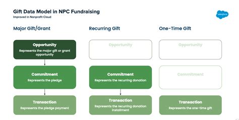 Introduction To Salesforce Nonprofit Cloud For Fundraising Soapbox