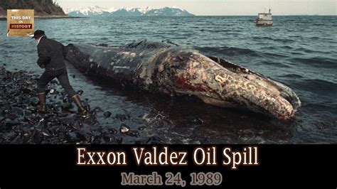 Exxon Valdez Oil Spill This Day In History Youtube