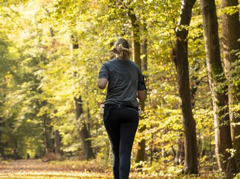 A Person Walking Through A Forest Photo Free Person Image On Unsplash