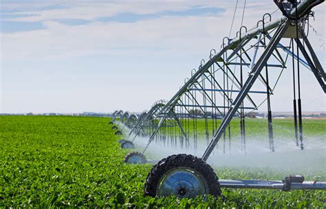 El Coste De La Electricidad En El Sector Agrario Ha Subido Un 60 En 10