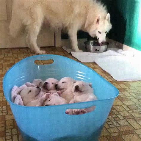 Whole Gang In A Bucket Pleasedontaskalice