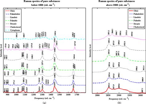 Raman Fingerprints In Detection Of Breast Cancer