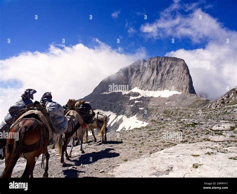 Mountain Mules Transport Stuff To Refuge Under Blue Sky And White