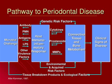 PPT Periodontal Diagnoses And Treatment Planning PowerPoint