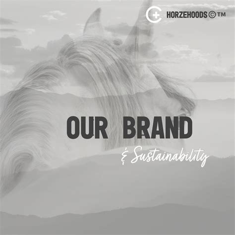 Sustainable Shopping? with HH – Horzehoods