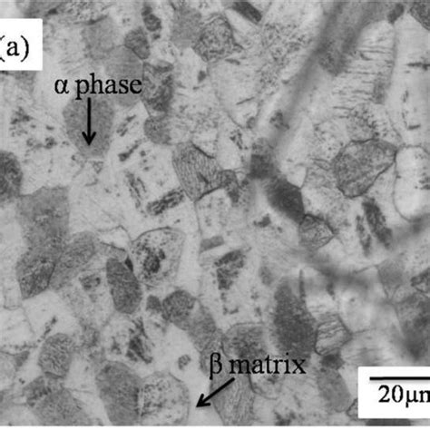 Microstructure of initial titanium alloy in longitudinal direction: (a ...