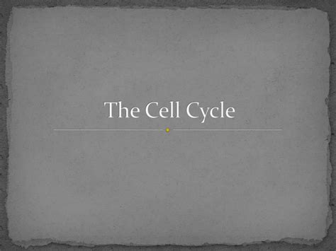 Ppt The Cell Cycle Powerpoint Presentation Free Download Id2467761