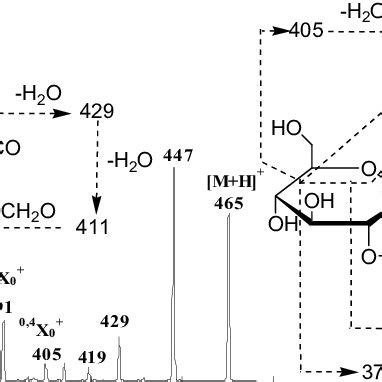 Cid Ms Of Protonated Flavonoid M Z And The Corresponding