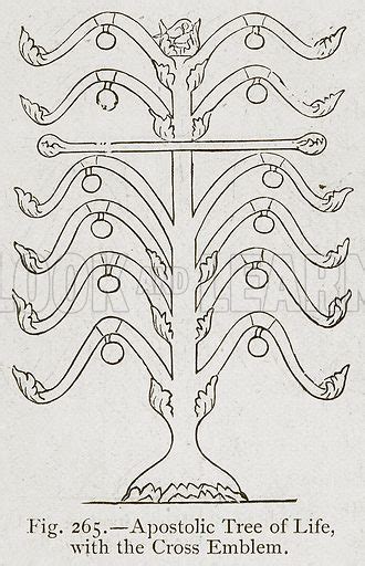 Apostolic Tree Of Life With The Cross Emblem Stock Image Look And Learn