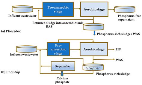 Historical Perspective Of Microorganisms Involved In Ebpr