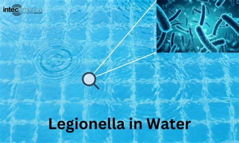 How To Remove Legionella And Other Water Borne Bacteria From Your Pool