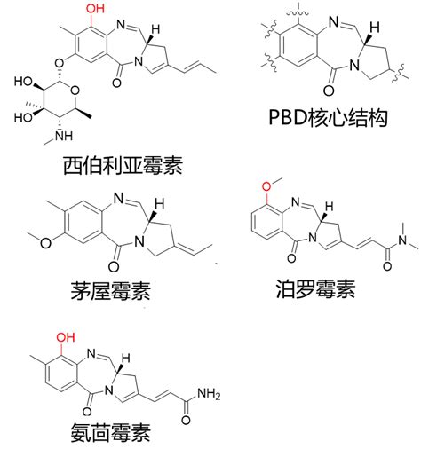 有氧和缺氧条件下细菌合成吡咯并苯二氮䓬类抗生素的不同策略 知乎