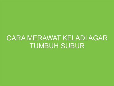 Cara Merawat Keladi Agar Tumbuh Subur Aikerja